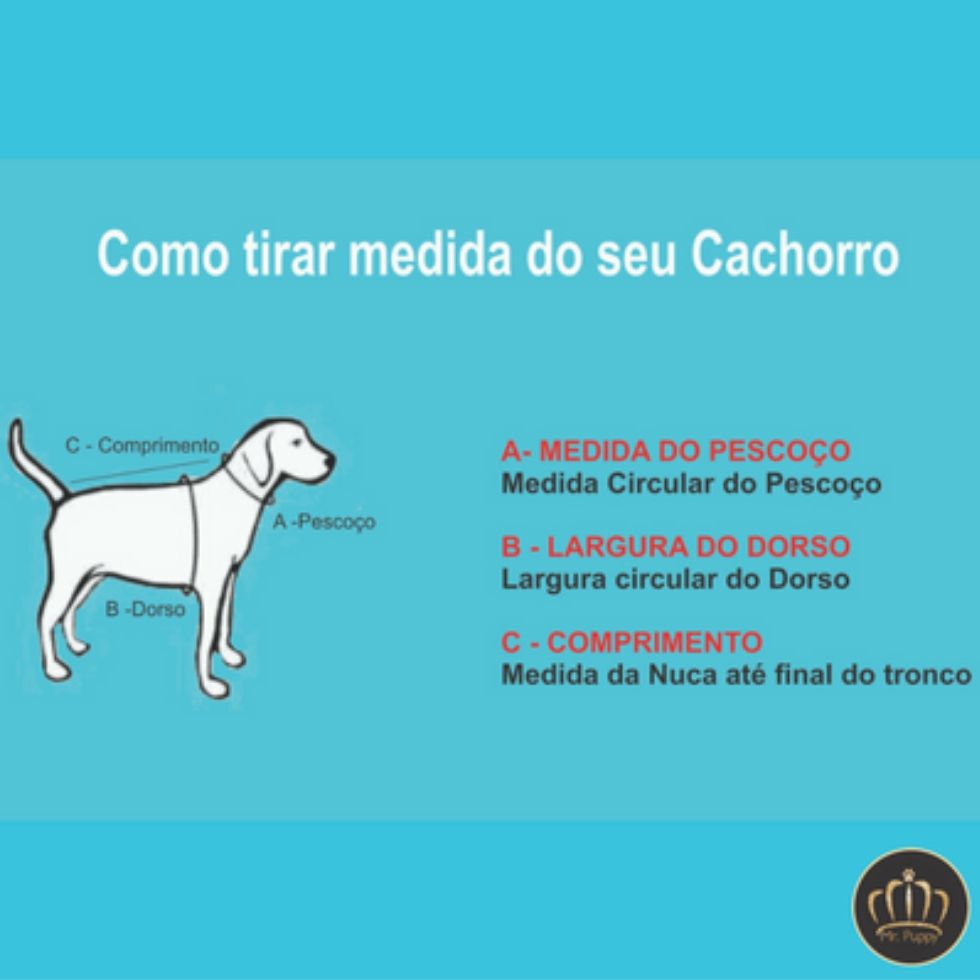 medidas de roupas para cães